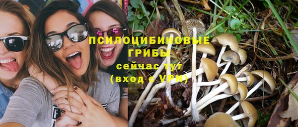 дживик Армянск
