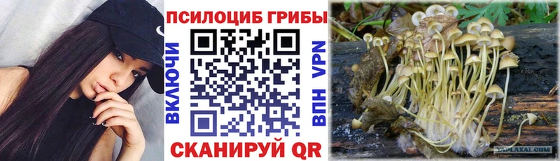 Галлюциногенные грибы прущие грибы  Бугульма 